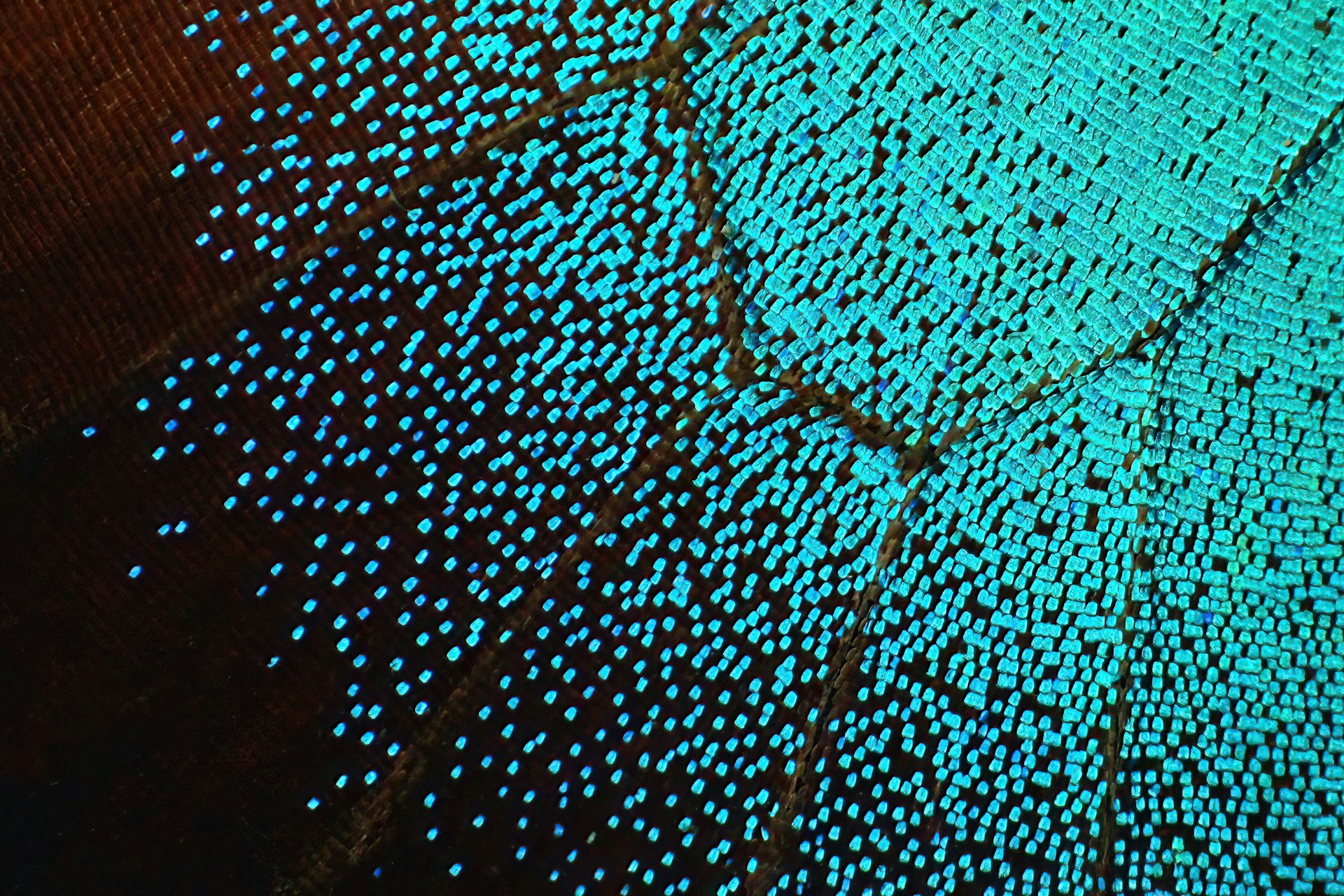 AI & Systems Integration Services